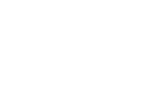 Center for Strategic Partnerships logo